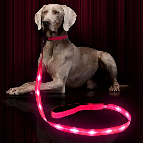 Glowing Light Up LED Dog Leash - 4ft USB Rechargeable, Flashing Nylon Leash for Small Medium Large Dogs, 3 Flash Modes
