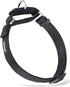 Hyhug Martingale Dog Collar Without Buckle: Anti Escape, No Slip Heavy-Duty Nylon for Medium Breeds (Black)