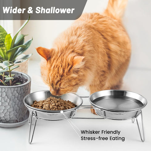 Elevated Cat Bowls, 5.9 Inch Wide Stainless Steel Food Bowls with Metal Stand, Raised Dish for Cats & Kittens, Whisker