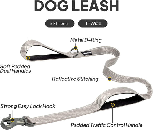 PetiFine 5FT Heavy Duty Dog Leash with Soft Padded Double Handle, Reflective Nylon for Large, Medium, Small Dogs