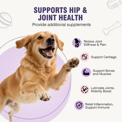 200pcs Glucosamine for Dogs Joint Support Supplement Dog Hip and Joint Chondroitin Chews Treats with MSM Dog Joint Pain