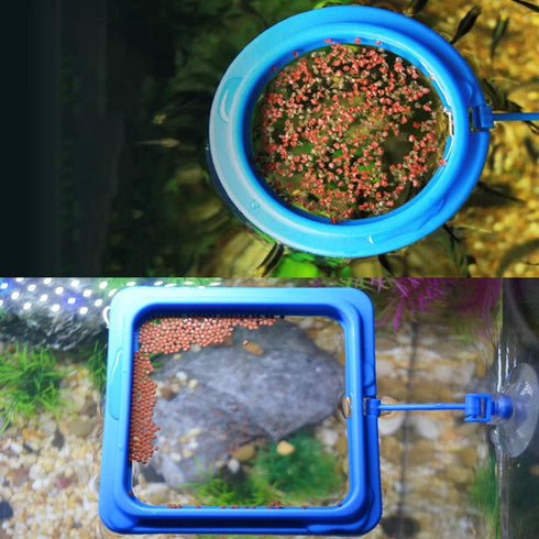 2PCS Fish Feeding Ring, Round and Square Floating Food Feeder Circle with Suction Cup for Aquarium