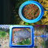 2PCS Fish Feeding Ring, Round and Square Floating Food Feeder Circle with Suction Cup for Aquarium