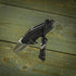 M-Tac Skull Knife Lanyards with Beads, Paracord Tactical Lanyard for Knife