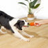MewaJump Dog Squeaky Chew Toys for Aggressive Chewers, Rubber Carrot Dog Toys for Training, Interactive Tough Dog Toy