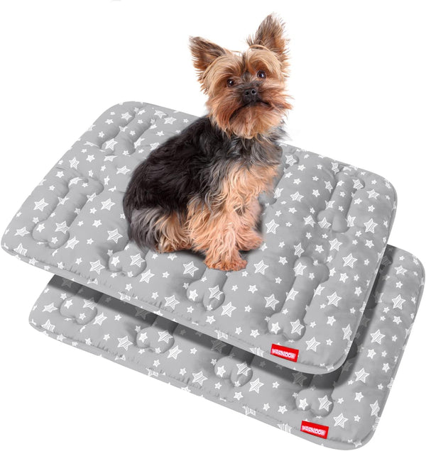 Dog Crate Mat (24" X 18") 2 Pack, Soft Bed Mat with Cute Prints, Anti-Slip Bottom, Personalized Dog Crate Pad, Machine