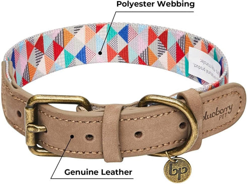 Blueberry Pet Adjustable Dog Collar, Large, Shades of Rainbow Multicolor Triangles, Genuine Full Grain Leather &