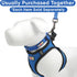 Pawtitas Dog Vest Harness, Breathable Air Mesh, All Weather Vest for Small Puppies and Large Cats, Blue Mesh