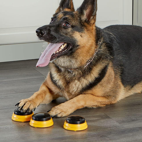 Hunger For Words Talking Pet Next Words Names - 3 Piece Set of Recordable Speech Buttons for Dog Training
