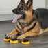 Hunger For Words Talking Pet Next Words Names - 3 Piece Set of Recordable Speech Buttons for Dog Training