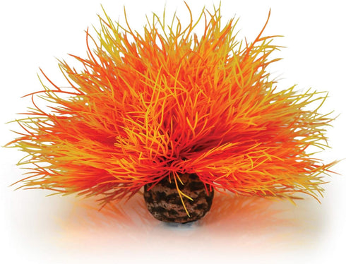 BiOrb 46085.0 Aquatic Sea Lily, Orange Aquariums