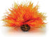 BiOrb 46085.0 Aquatic Sea Lily, Orange Aquariums