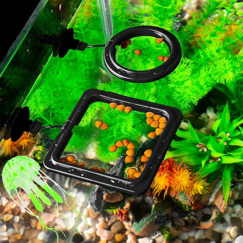 Feeding Fish Ring Set | 4pcs Fish Food Feeder + Jellyfish Decorations + Thermometer Strip for Aquarium Tank Accessories