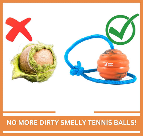 K-9 2.75 Nero Ball Pro Dog Training Ball on Rope Heavy-Duty Natural Rubber Reward & Tug Toy with Nylon Throw Handle