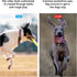 IPX8 Waterproof Airtag Dog Collar Holder, Ultra-Durable Mount for AirTag, Suitable for All Widths of Collars (1 Pack)