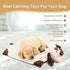 Heartbeat Toy for Puppy, Plush Toy for Anxiety Relief and Behavioral Training Aid, Calming Sleeping Soother
