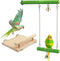 Natural Wood Bird Perches for Cage, Platform Swing, Nail Trimming Paw Grinding Stick for Parakeet Cockatiels Parrot