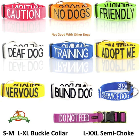 Blue Warning Dog Leash (in Training/Do Not Disturb); Padded 1.8m 6ft Lead
