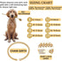 Cuban Link Dog Collar in Gold Silver Color, Metal Dog Chain Collar for Dogs Cats Jewelry 8/10/14/16/18/20/24/28 Inch