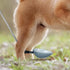 Generic Pet Urine Stick - Pet Pregnancy Urine Test | Dog Wellness Screening Tool, Long Handled Dog Pee Catcher Urine
