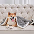 Qeils Waterproof Dog Blankets for Small Dogs, Washable Sherpa Fleece Puppy Blanket, Soft Plush Reversible, 30"X40", Grey