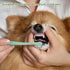 2 Pack Dog Toothbrush - Mini Head Soft Tooth Brush for Deep Clean, Portable for Small Pets