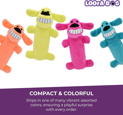 (1 Count, 6, Multipet Original Loofa Dog Plush Toy - Squeaky Toy for All Dogs - Extra Soft Plush - Stuffed Animal Dog