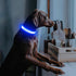 LED Dog Collar, USB Rechargeable Lighted Dog Collar, Adjustable Nylon Glowing Pet Safety Collar for Your Dogs Glow in The Dark (Blue, Medium)