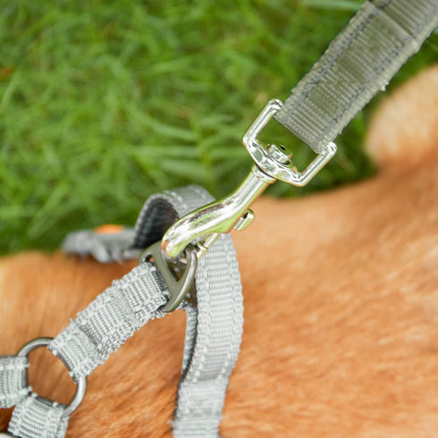4 Ft Reflective Dog Leash, Durable Nylon Puppy Leash with Reflective Threads for Small and Medium Dogs