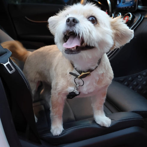 2 Pack, Mr. Pen- Adjustable Dog Seat Belt for Car, Pet Safety Harness, Car Leash