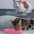 Uiifan 3 Pieces No Spill Cat Food Bowl Set for Small and Medium Dogs and Cats - Easy Cleaning Outdoor Feeder (Blue,