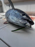 80g 1, 5, 10 Packs Tuna Riser jigs Green/White, Pink Glow