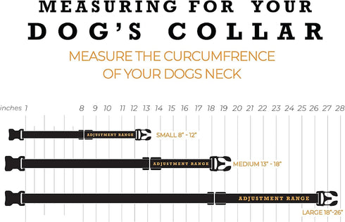 Wolfgang Premium Adjustable Dog Training Collar - Made in USA, Quetzal Print for Small Medium Large Dogs (5/8 Inch x