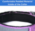 Pawtitas Lumberjack Padded Martingale Collar for Dogs, Soft Neoprene with Reflective Band, Medium Orchid