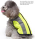 Pet Night Safety Clothing: Reflective Glowing Dog Vest Adjustable Soft Padded Suit for Small, Medium, Large Dogs