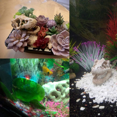 Mini Dinosaur Skull Aquarium Ornament | Resin Tank Decoration for Betta Fish | Small Reptile Hideout with Holes