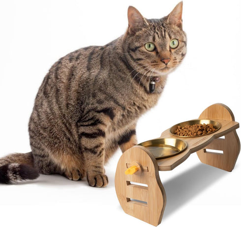Elevated Cat Bowls, 15° Tilted Raised Bowl Stand with Two Stainless Steel Bowls, Water Feeder Set for Small Dogs