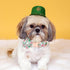 Lionheart Glory St. Patrick's Day Dog Collar, Green Flower Collar with Lucky Clover Shamrock for Large Dogs