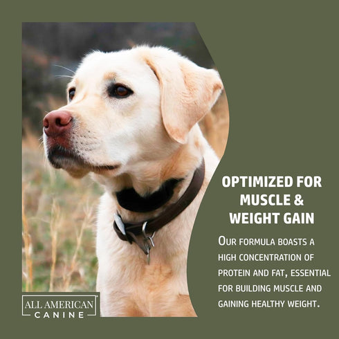 Bulk & Bark Weight Gainer + Digestive Aid Formula, Natural Health Supplement Food Topper, 60 Servings