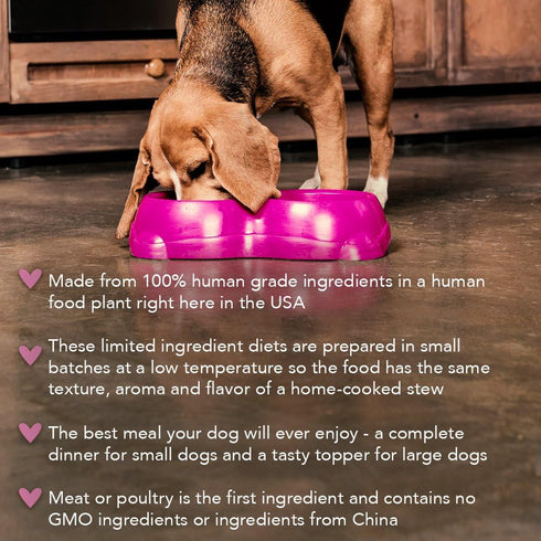 Caru Real Turkey Stew For Dogs, Natural Adult Wet Dog Food With Added Vitamins, 12.5 Oz
