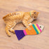 Cat Scratching Board - Creative Fish Shaped Claw Toy, Colorful Sisal Pad Scratch Lounge Durable Interaction Toy