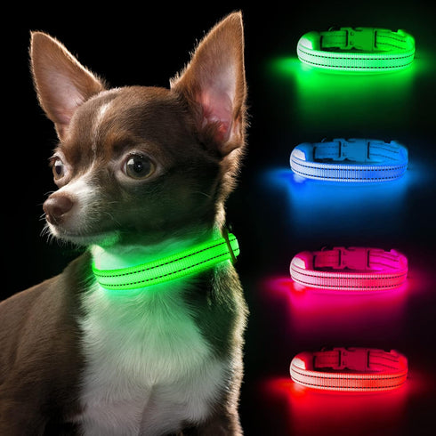 Reflective LED Dog Collar, Rechargeable Light Up Puppy Collar for Night Safety, Ideal as Lighted Cat Collar, X-Small,