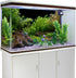 AWERT 72x18 inches Aquarium Background - River Bed & Lake Aquatic Plant Fish Tank Background