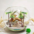 12pcs NUOBESTY Fake Palm Tree Small Coconut Tree Cake Topper Decoration DIY Plant Pots Bonsai Sand Table Aquarium