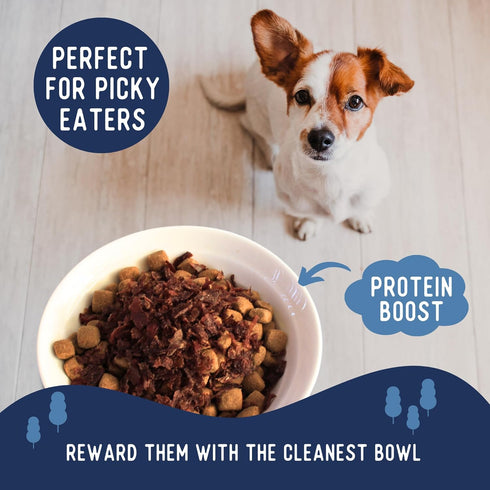 Beg & Barker Turkey Dog Food Toppers, 8 Ounce (Pack of 1) - Premium Meal Mixers for Picky Eaters with Whole Turkey