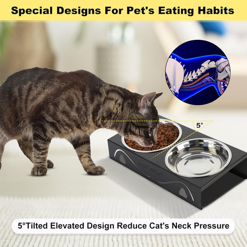 Elevated Cat Bowls, 5° Tilted Raised Metal Bowl with 2 Thick Stainless Steel 13.5 oz Bowls