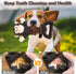 Dog Plush Squeak Toys with Crinkle Paper, Interactive Tug of War Toys for Small, Medium, Large Dogs