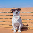 Dog Bandana Collar, 4 PCS White Triangle Adjustable Buckle Sublimation Blank DIY for Dogs and Cats, S