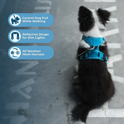Voyager No Pull Dog Harness for Extra Small Dogs, Adjustable Soft Pet Harness with Dual Leash Attachments, Turquoise