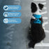 Voyager No Pull Dog Harness for Extra Small Dogs, Adjustable Soft Pet Harness with Dual Leash Attachments, Turquoise